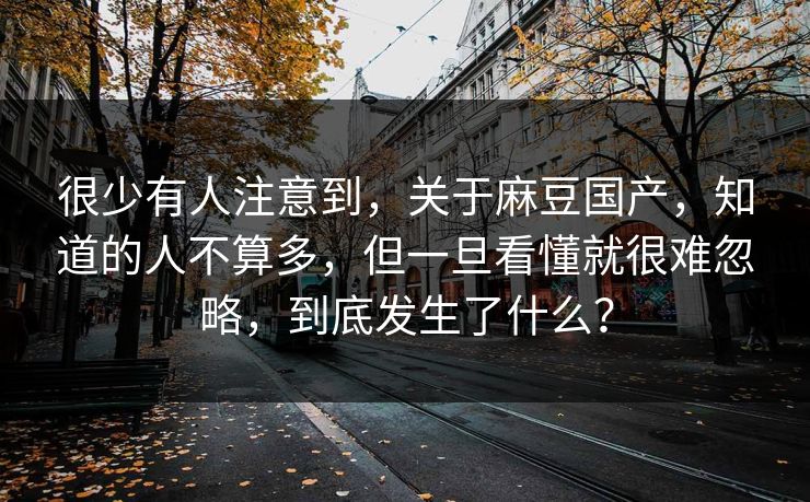 很少有人注意到，关于麻豆国产，知道的人不算多，但一旦看懂就很难忽略，到底发生了什么？
