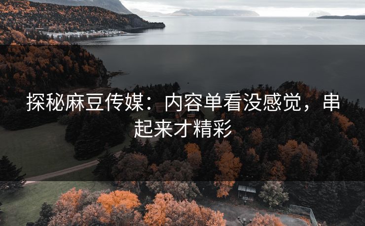 探秘麻豆传媒：内容单看没感觉，串起来才精彩