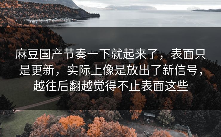 麻豆国产节奏一下就起来了，表面只是更新，实际上像是放出了新信号，越往后翻越觉得不止表面这些