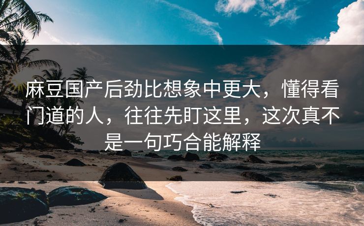麻豆国产后劲比想象中更大，懂得看门道的人，往往先盯这里，这次真不是一句巧合能解释