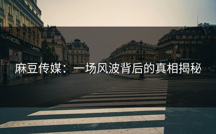 麻豆传媒：一场风波背后的真相揭秘