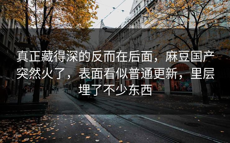 真正藏得深的反而在后面，麻豆国产突然火了，表面看似普通更新，里层埋了不少东西