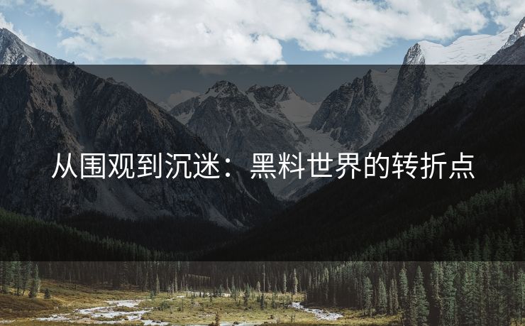 从围观到沉迷：黑料世界的转折点