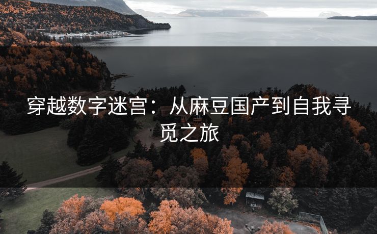 穿越数字迷宫:从麻豆国产到自我寻觅之旅